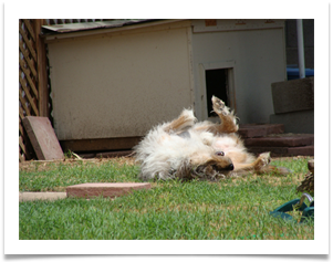 She loves her new yard