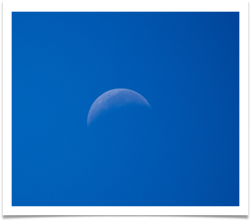 Daytime Moon